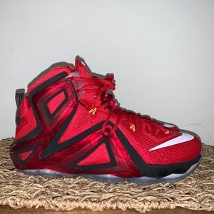Nike LeBron 12 Elite “Team” Size 11